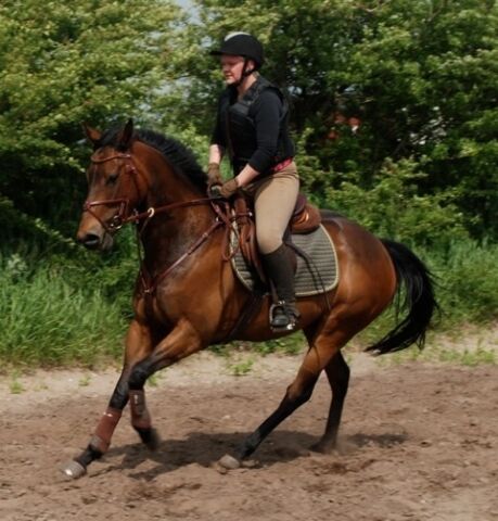 Billede