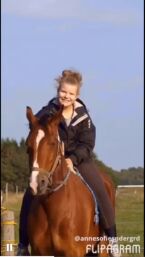 Billede