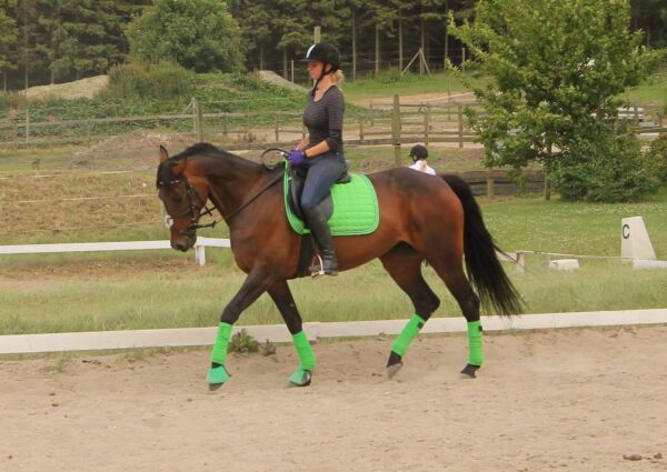 Billede