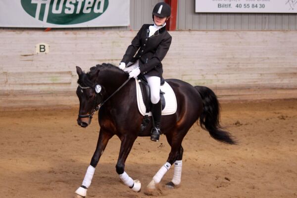 Billede