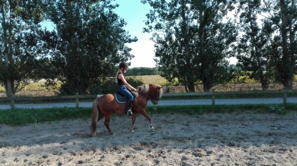 Billede