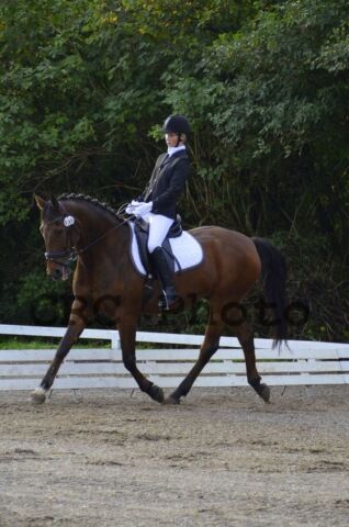 Billede