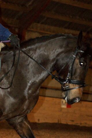 Billede