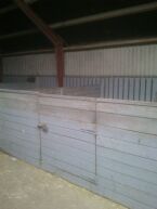 Billede