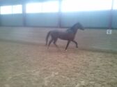 Billede