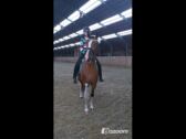 Billede
