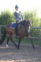 Billede