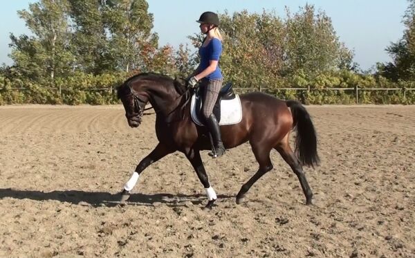 Billede