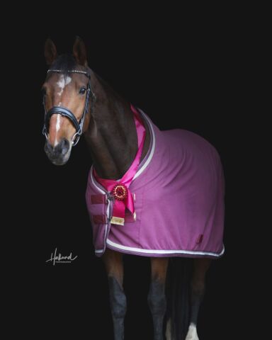 Billede