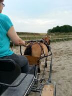 Billede