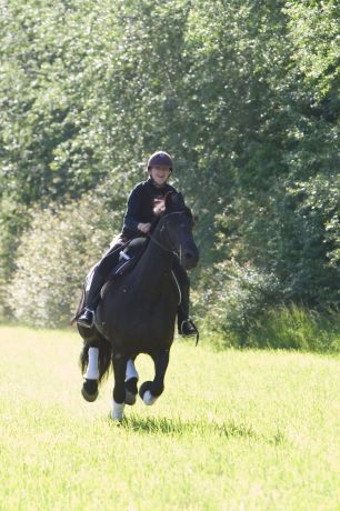 Billede