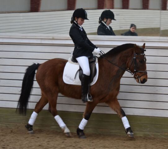 Billede