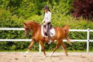 Billede