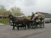 Billede