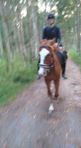 Billede
