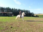 Billede
