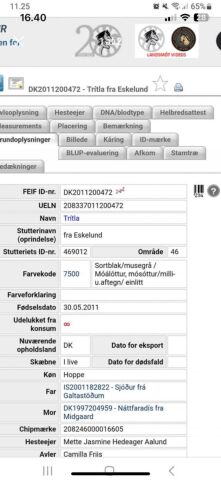Billede