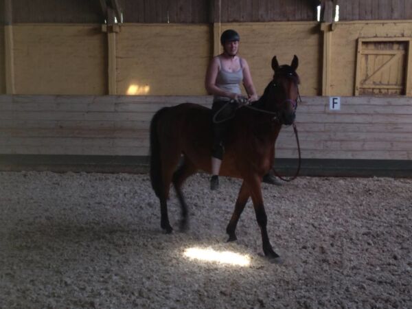 Billede