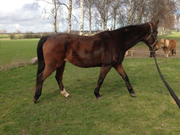 Billede