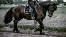 Billede