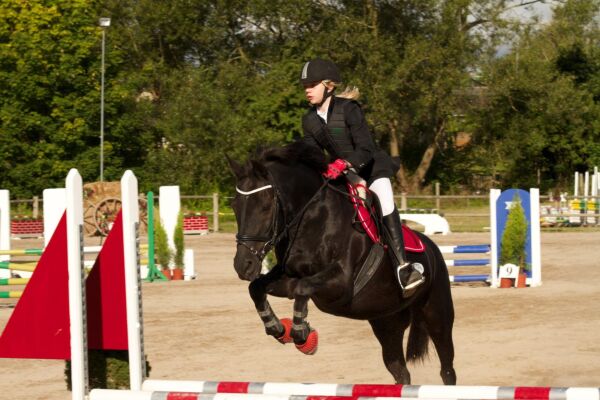 Billede