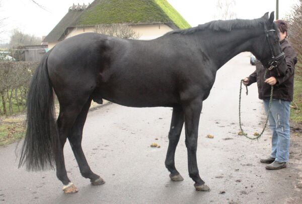 Billede