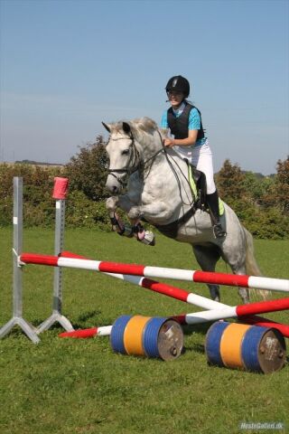 Billede