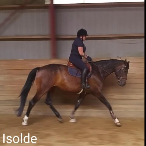Billede