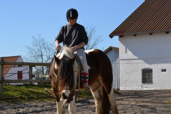 Billede