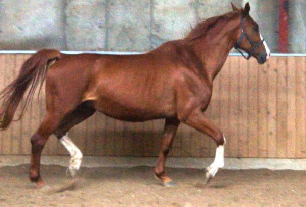 Billede