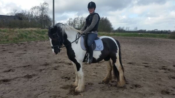 Billede