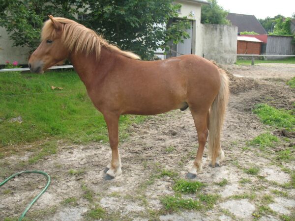 Billede