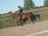 Billede