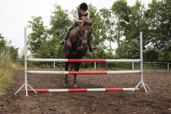 Billede