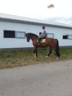 Billede