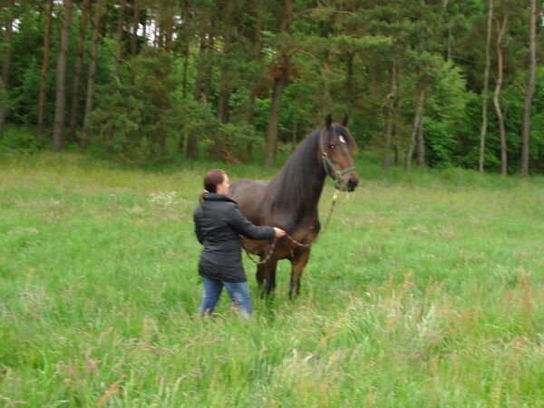 Billede