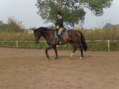 Billede