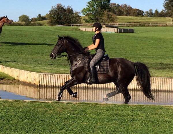 Billede