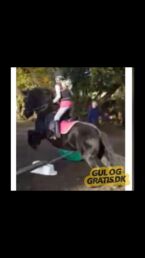 Billede