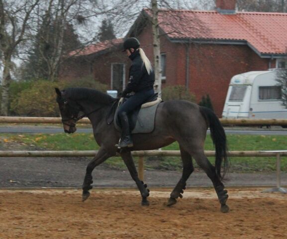 Billede