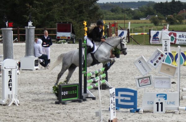 Billede