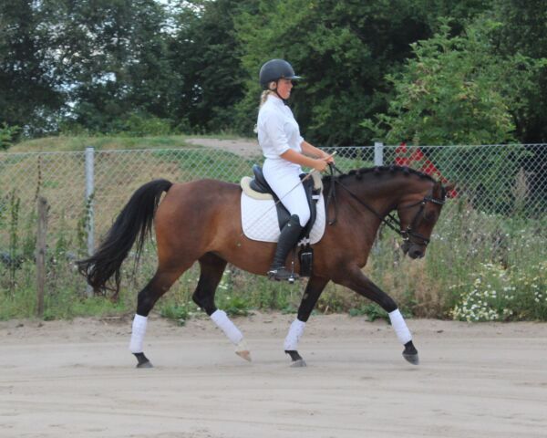 Billede