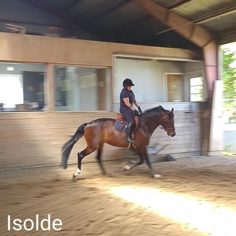 Billede