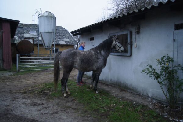 Billede