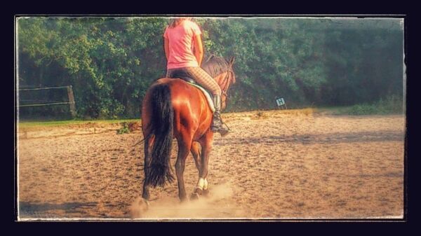 Billede