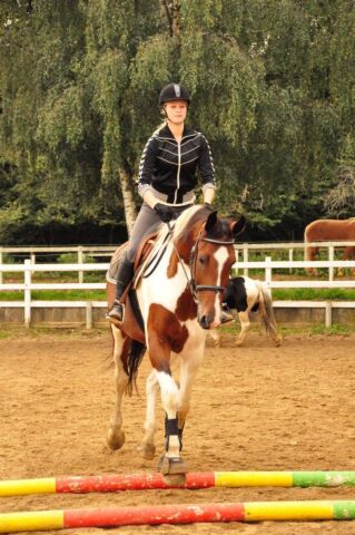 Billede