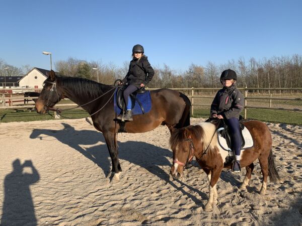 Billede