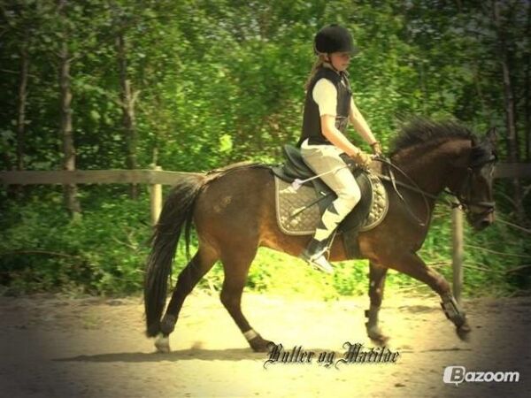 Billede