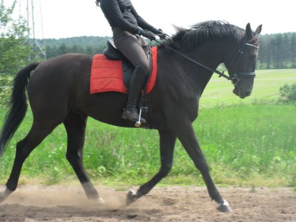 Billede
