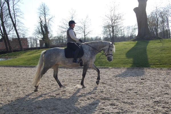 Billede